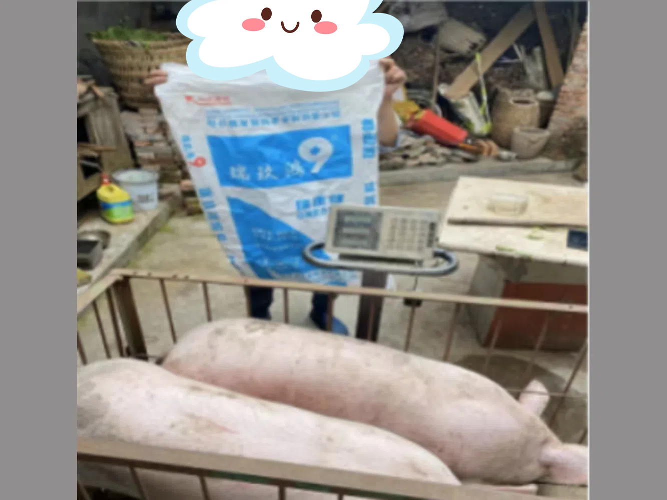 三臺(tái)縣中太鎮(zhèn)禹王村尹※※實(shí)證數(shù)據(jù)